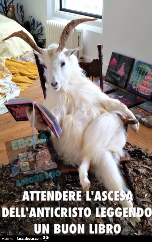 Attendere l'ascesa dell'Anticristo leggendo un buon libro
