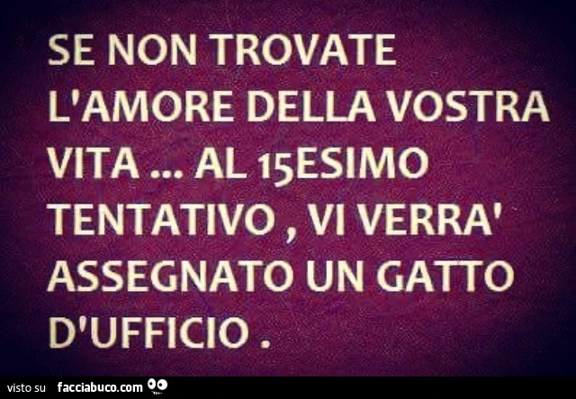 Se non trovate l'amore della vostra vita al 15esimo tentativo vi verrà assegnato un gatto d'ufficio