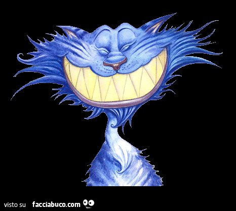 Gatto azzurro che sorride