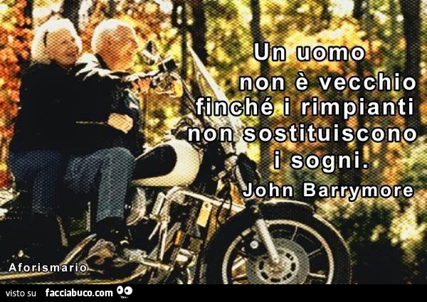 Un uomo non è vecchio finchè i rimpianti non sostituiscono i sogni. John Barrymore