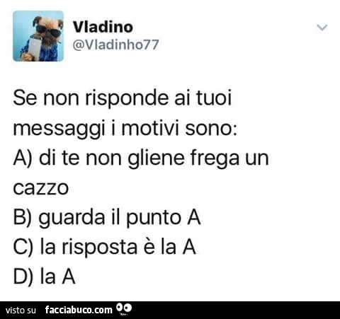 Se non risponde ai tuoi messaggi i motivi sono: di te non gliene frega un cazzo