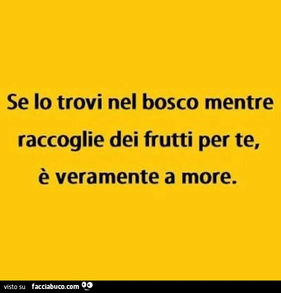 Se lo trovi nel bosco mentre raccoglie dei frutti per te, è veramente a more