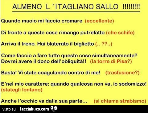 Almeno l'itagliano sallo. Quando muoio mi faccio cromare. Di fronte a queste cose rimango putrefatto. Arriva il treno, hai blaterato il biglietto