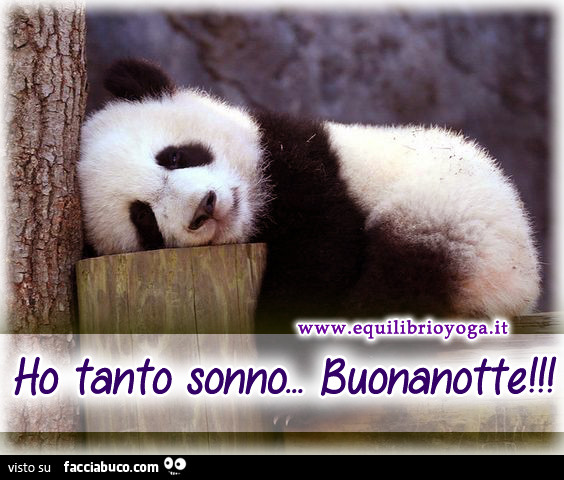 Ho tanto sonno… buonanotte