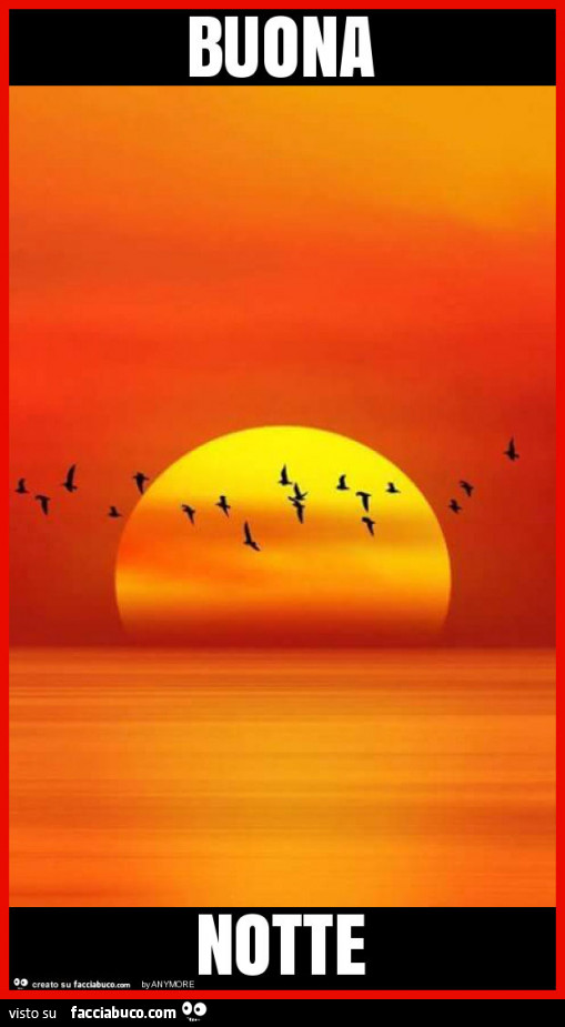 Uccelli al tramonto sul mare. Buona notte