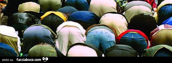 Musulmani piegati per pregare