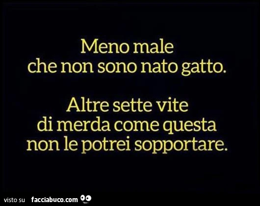 Meno male che non sono nato gatto. Altre sette vite di merda come questa non le potrei sopportare