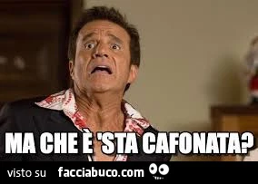 Vaccata