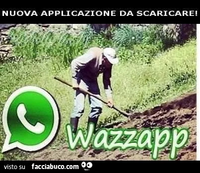 Vaccata