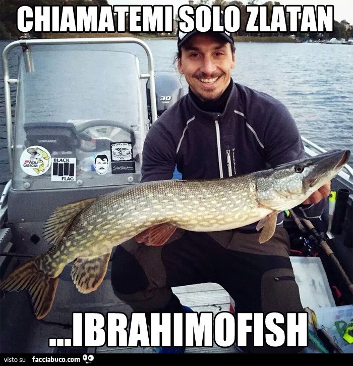 Chiamatemi solo Zlatan Ibrahimofish