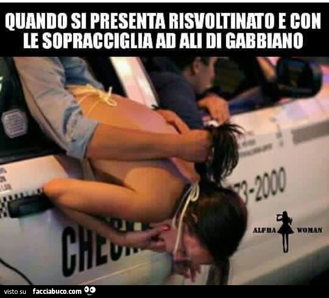 Quando si presenta risvoltinato e con le sopracciglia ad ali di gabbiano