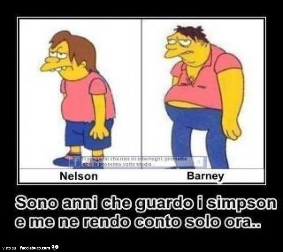 Nelson e Barney. Sono anni che guardo i Simpson e me ne rendo conto solo ora