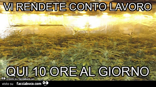 Vi rendete conto, lavoro qui 10 ore al giorno