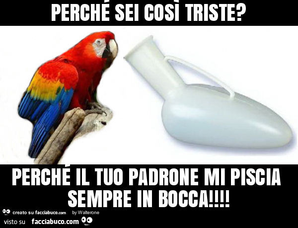 Perché sei così triste? Perché il tuo padrone mi piscia sempre in bocca
