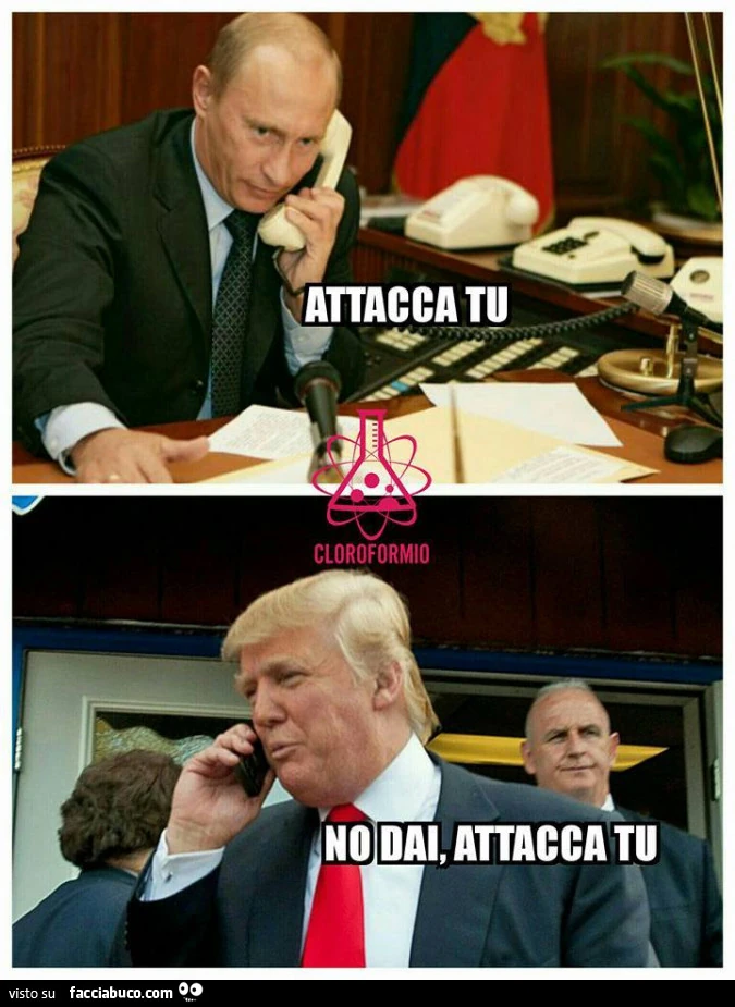 Vaccata