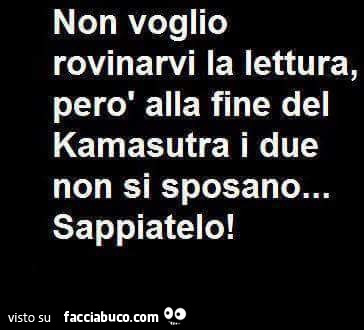 Non voglio rovinarvi la lettura, però alla fine del kamasutra i due non si sposano… sappiatelo