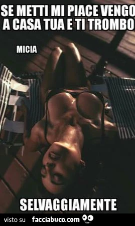 Vaccata