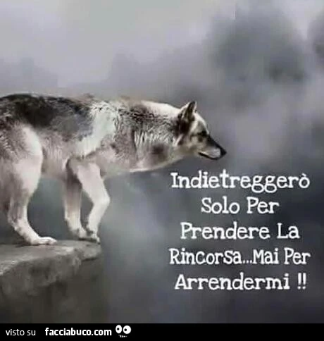 Indietreggerò solo per prendere la rincorsa. Mai per arrendermi