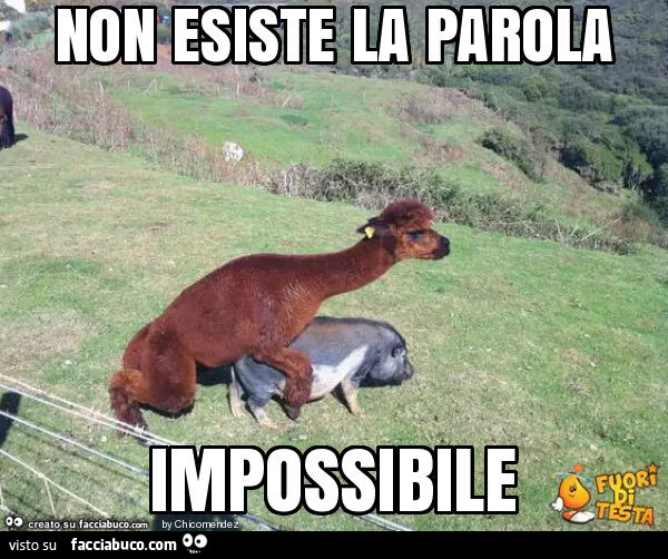 Non esiste la parola impossibile