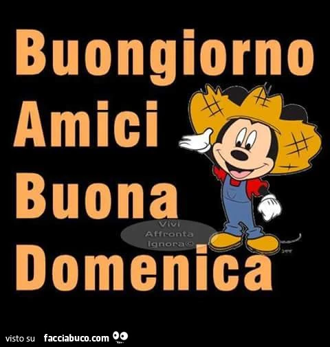 Buongiorno amici buona Domenica da Topolino