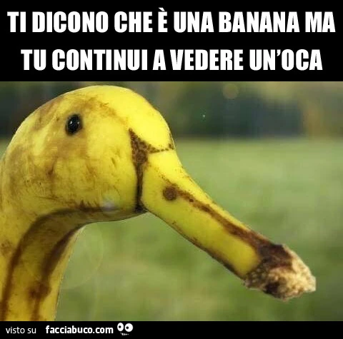 Ti dicono che è una banana ma tu continui a vedere un'oca