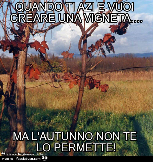 Quando ti azi e vuoi creare una vigneta&hellip; ma l'autunno non te lo permette