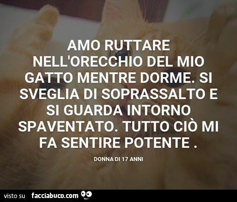 Amo ruttare nell'orecchio del mio gatto mentre dorme. Si sveglia di soprassalto e si guarda intorno spaventato. Tutto ciò mi fa sentire potente