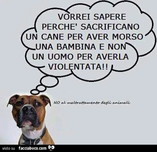 Vorrei sapere perchè sacrificano un cane per aver morso una bambina e non un uomo per averla violentata