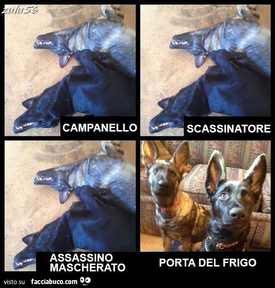 Campanello, scassinatore, assassino mascherato, porta del frigo