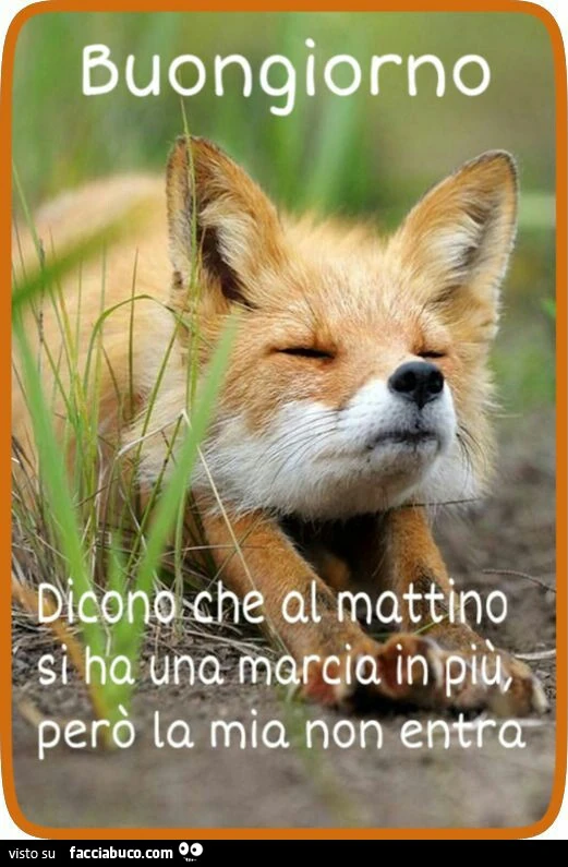 Buongiorno. Dicono che al mattino si ha una marcia in più, però la mia non entra