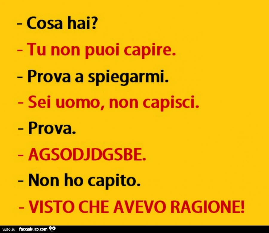 Cosa hai? Tu non puoi capire. Prova a spiegarmi. Sei uomo, non capisci. Prova. Agsodjdgsbe. Non ho capito. Visto che avevo ragione