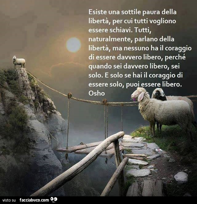 Esiste una sottile paura della libertà, per cui tutti vogliono essere schiavi. Tutti, naturalmente, parlano della libertà, ma nessuno ha il coraggio di essere davvero libero, perché quando sei davvero libero, sei solo
