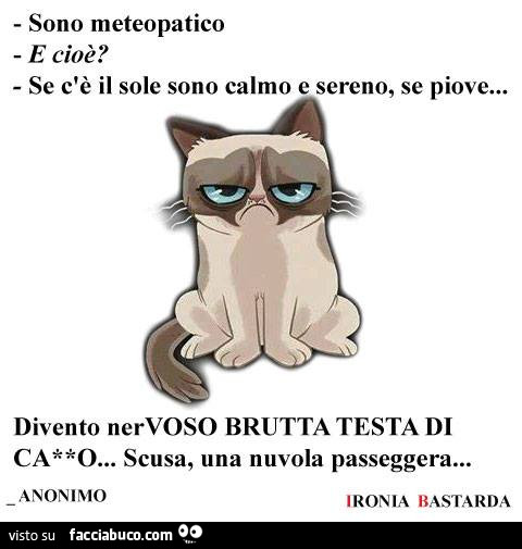 Sono meteopatico. E cioè? Se c'è il sole sono calmo e sereno, se piove… divento nervoso brutta testa di… scusa, una nuvola passeggera