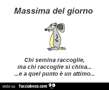 Massima del giorno: chi semina raccoglie, ma chi raccoglie si china… e a quel punto è un attimo