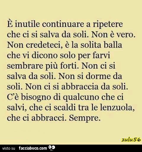 È inutile continuare a ripetere che ci si salva da soli. Non è vero. Non credeteci, è la solita balla che vi dicono solo per farvi sembrare più forti. Non ci si salva da soli. Non si dorme da soli. Non ci si abbraccia da soli. C'è bisogno di qualcuno