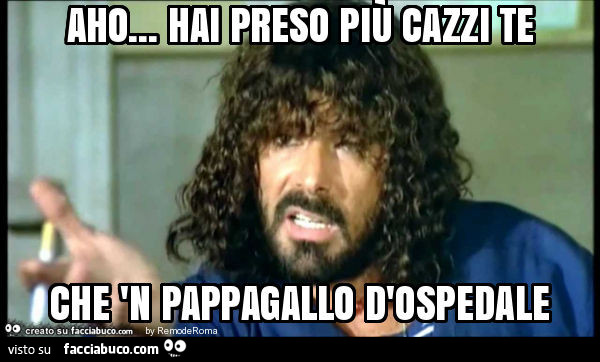 Aho… hai preso più cazzi te che 'n pappagallo d'ospedale
