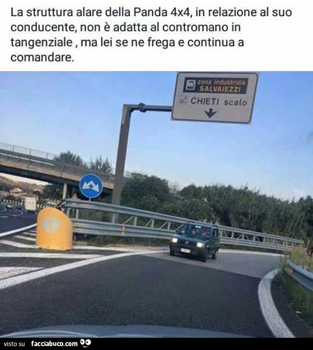 La struttura alare della panda 4x4, in relazione al suo conducente, non è adatta al contromano in tangenziale, ma lei se ne frega e continua a comandare