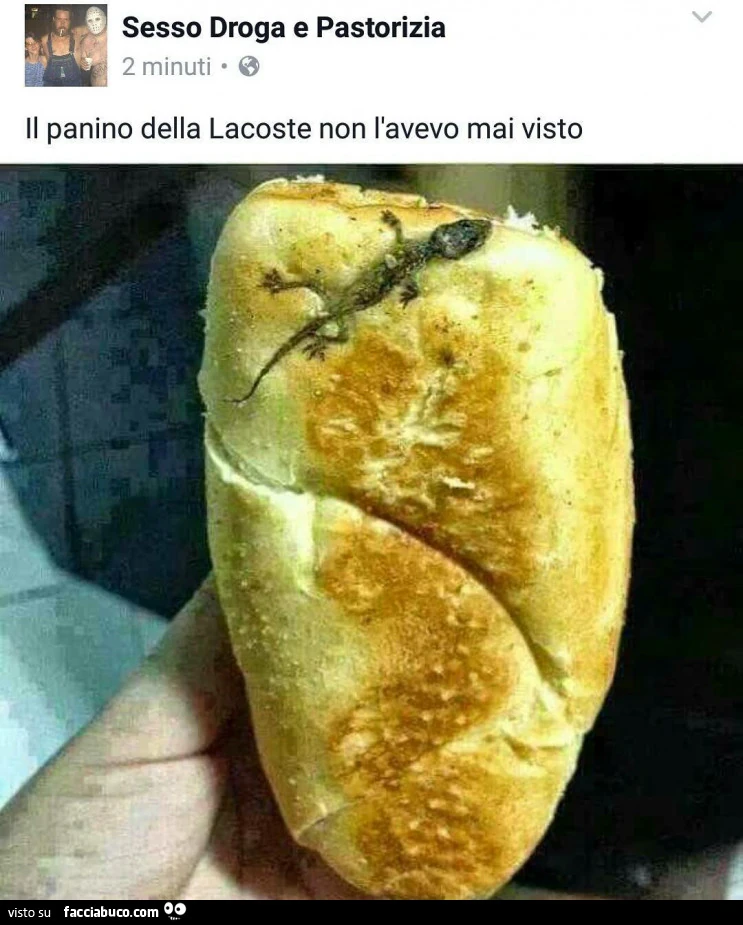 Vaccata