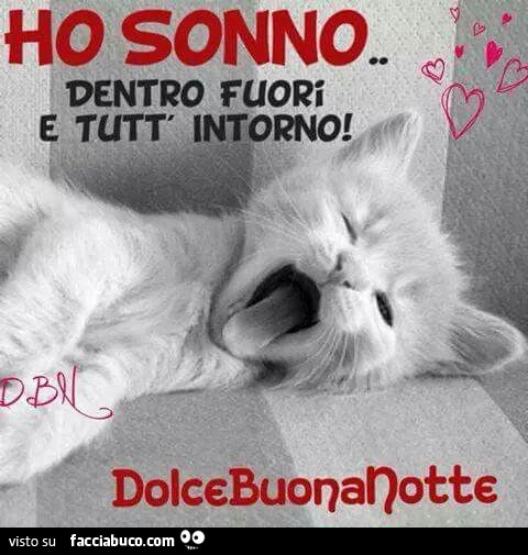 Ho sonno&hellip; dentro fuori e tutt' intorno! Dolcebuonanotte