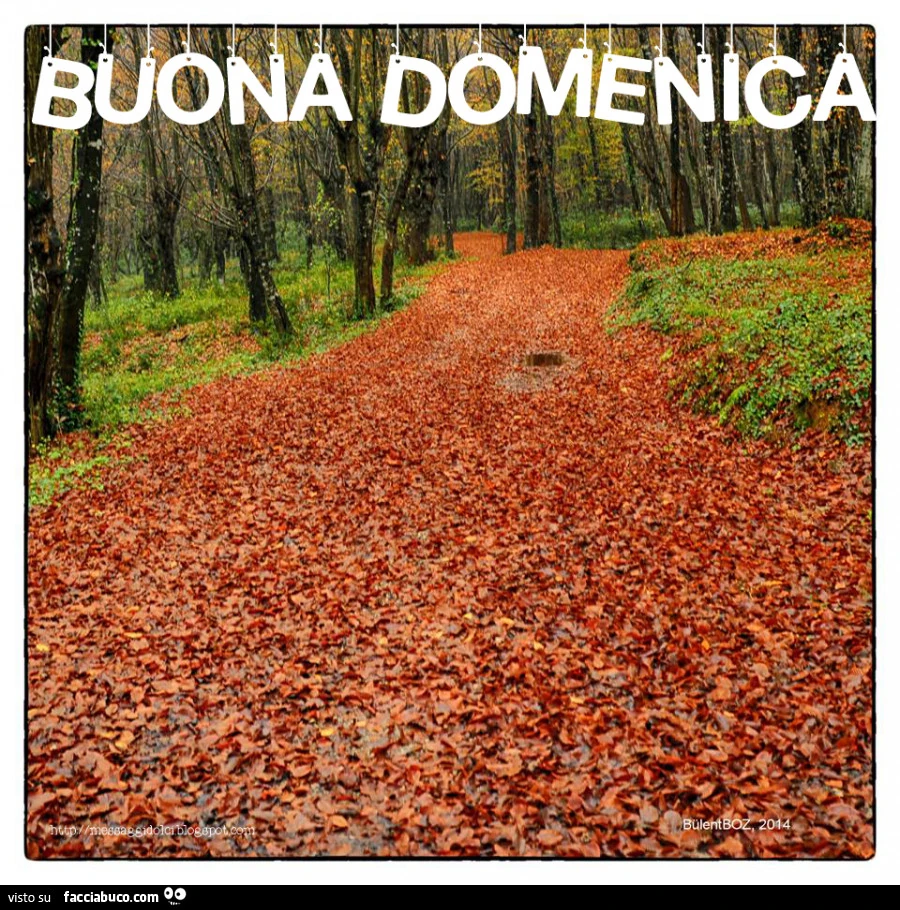 Buona domenica