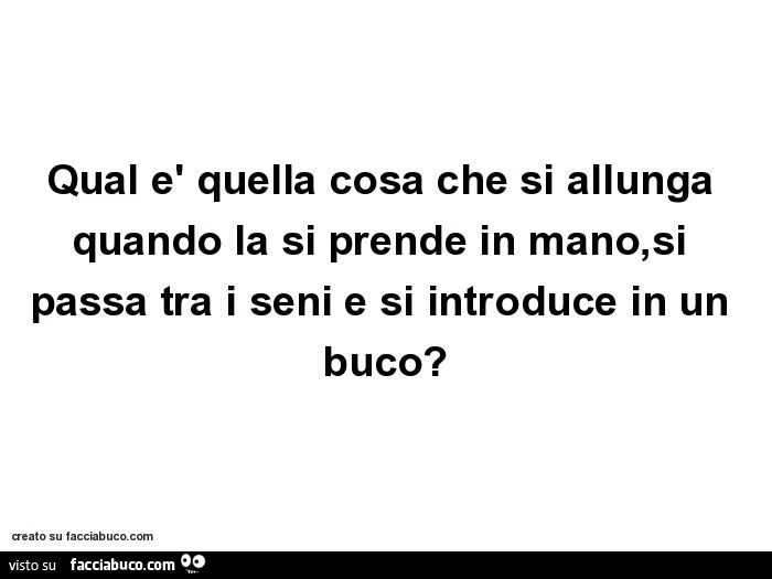 Qual è quella cosa che si allunga quando la si prende in mano, si passa tra i seni e si introduce in un buco?