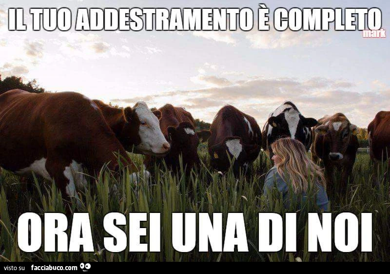 Il tuo addestramento è completo. Ora sei una di noi
