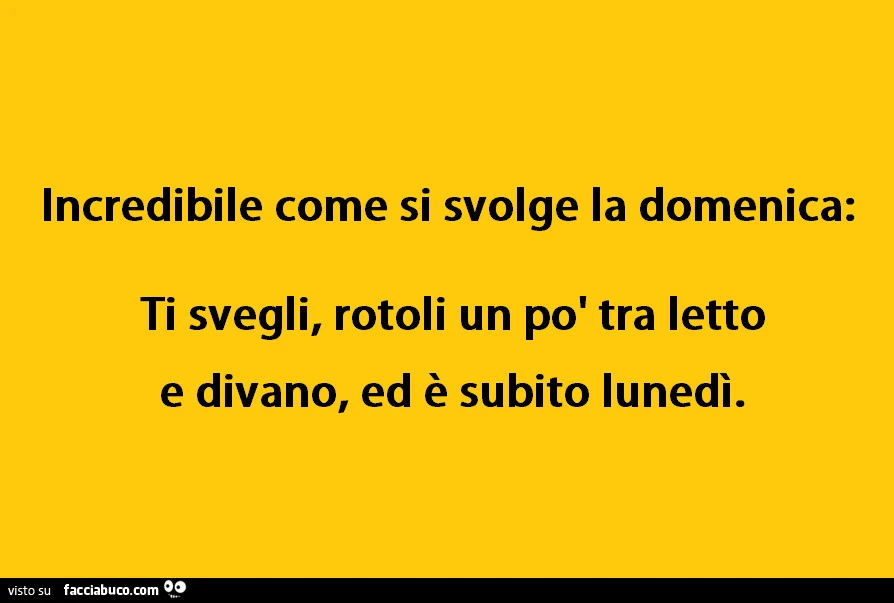 Incredibile come si svolge la Domenica: ti svegli, rotoli un po' tra letto e divano, ed è subito Lunedì