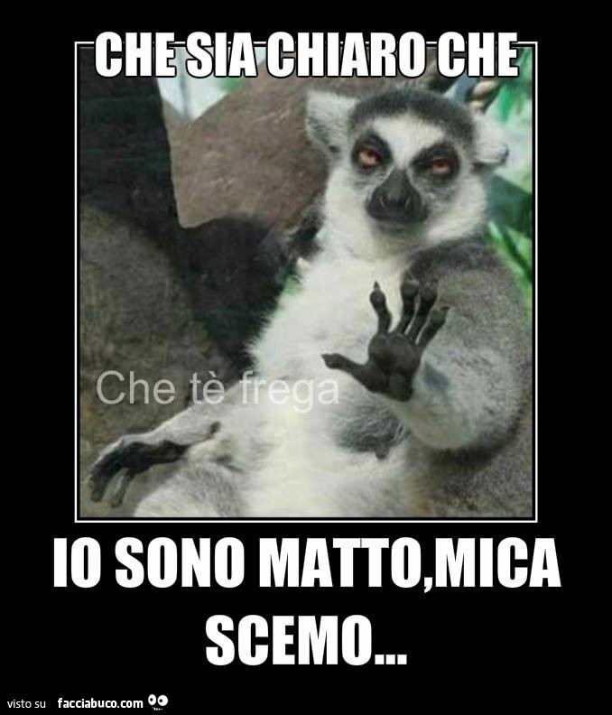 Vaccata