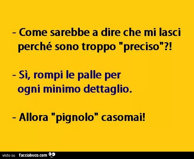 Come sarebbe a dire che mi lasci perché sono troppo "preciso"? Sì, rompi le palle per ogni minimo dettaglio. Allora "pignolo" casomai
