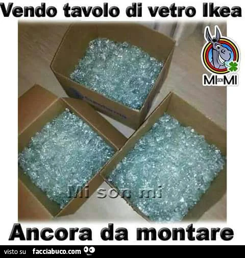 Vaccata