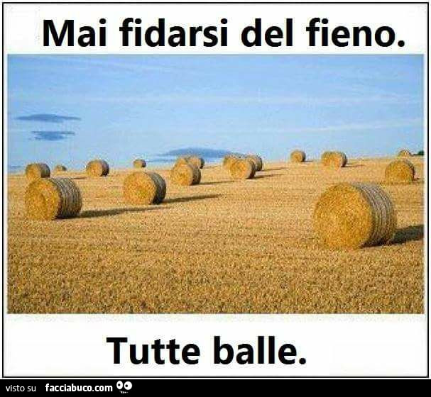 Mai fidarsi del fieno. Tutte balle