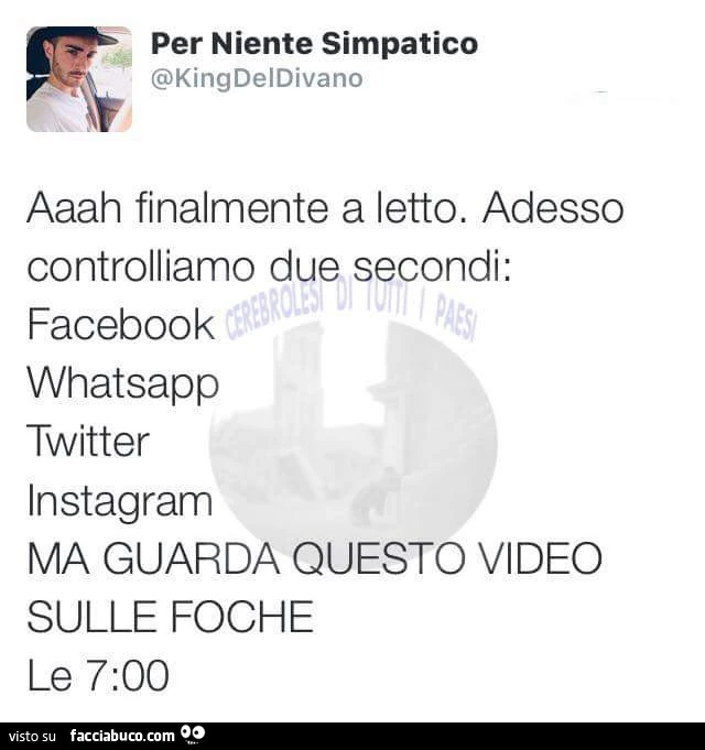 Aaah finalmente a letto. Adesso controlliamo due secondi: Facebook, Whatsapp, Twitter, Instagram. Ma guarda questo video sulle foche&hellip; le 7.00