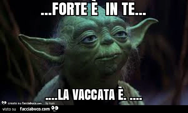 Vaccata