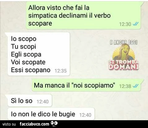 Allora visto che fai la simpatica declinami il verbo scopare. Io scopo tu scopi egli scopa voi scopate essi scopano